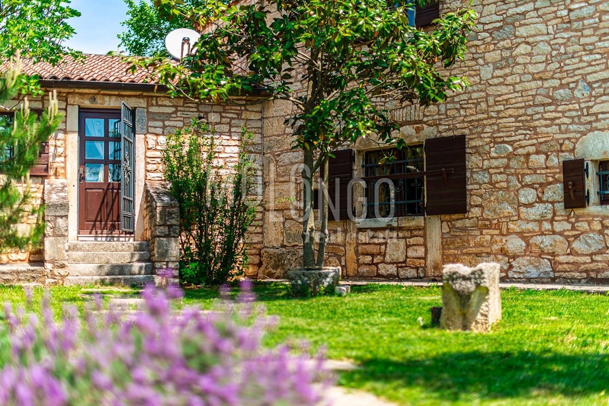Casa Žminj, 300m2