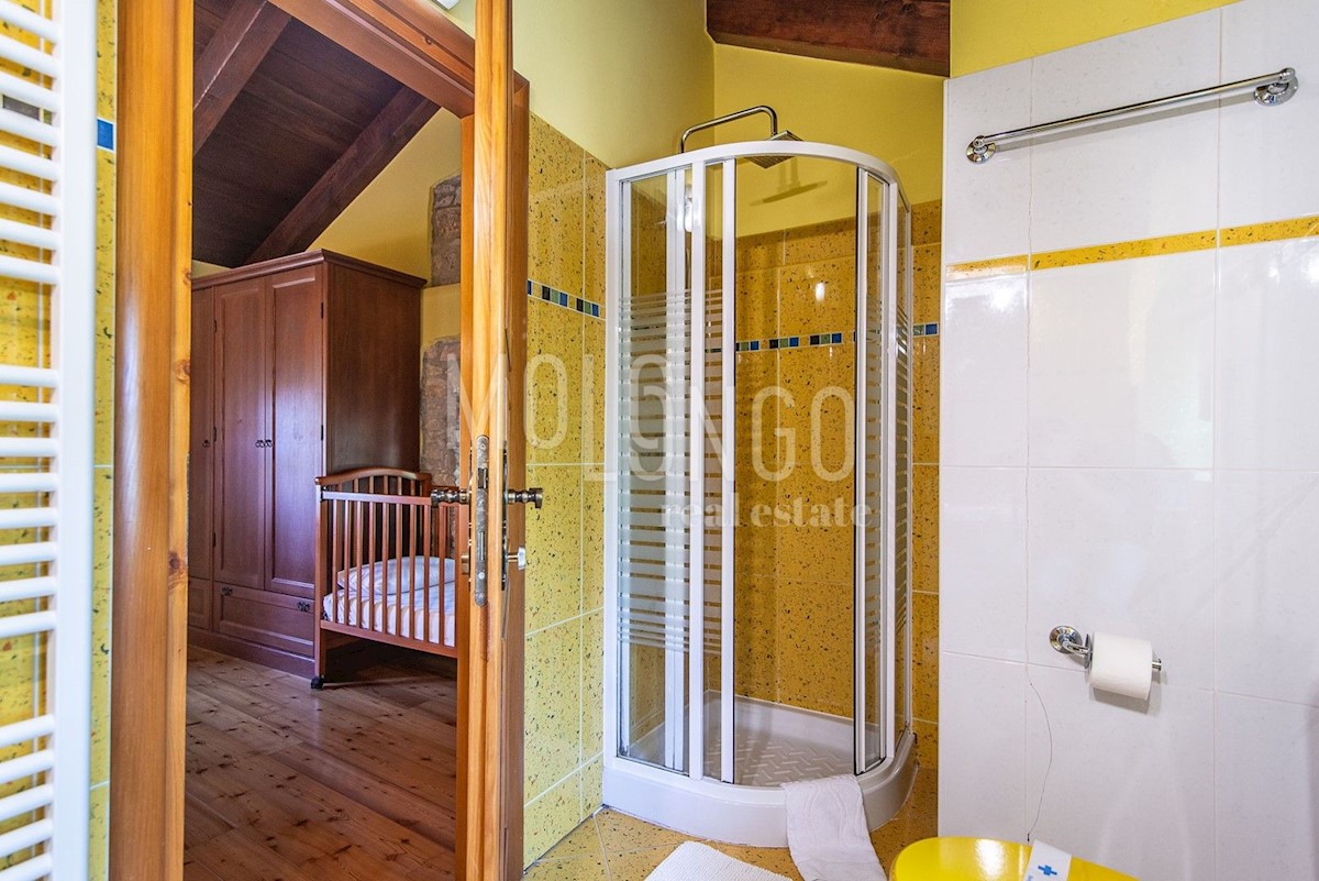 Casa Žminj, 300m2