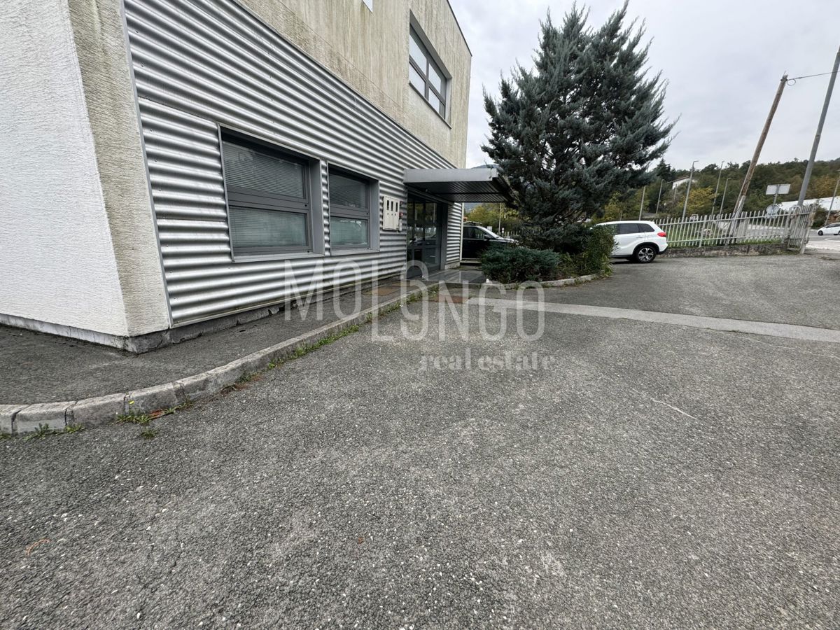 Commerciale Matulji, 500m2