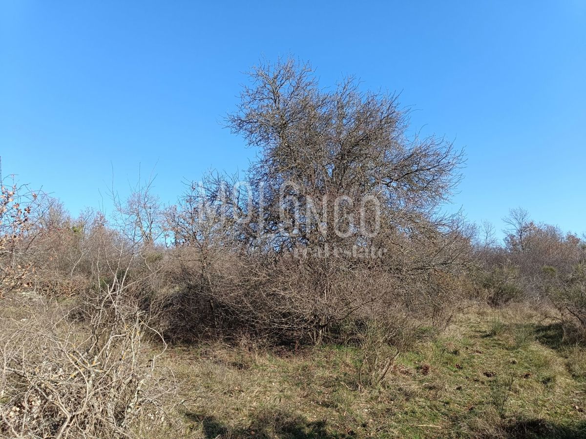 ISTRA, POREČ Attraente proprieta' agricola con vista mare
