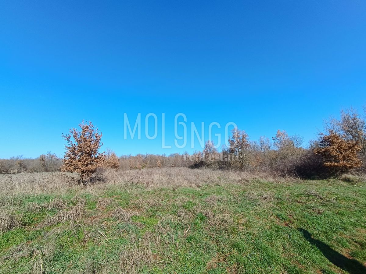 ISTRA, POREČ Attraente proprieta' agricola con vista mare