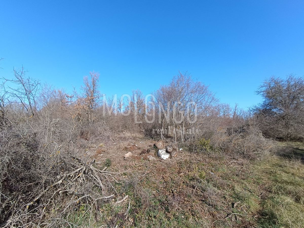 ISTRA, POREČ Attraente proprieta' agricola con vista mare
