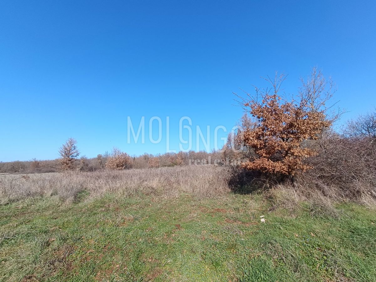 ISTRA, POREČ Attraente proprieta' agricola con vista mare