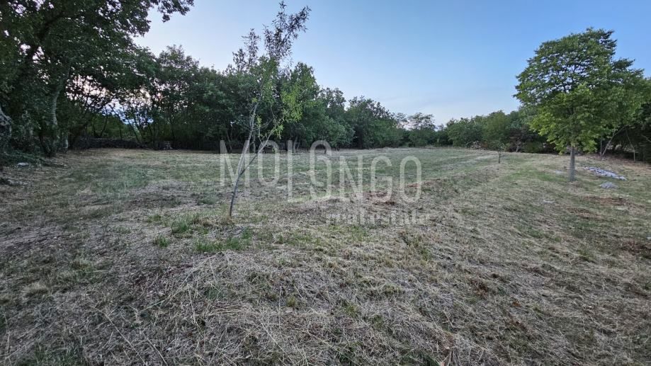 Terreno Jakovici, Tinjan, 3,62m2