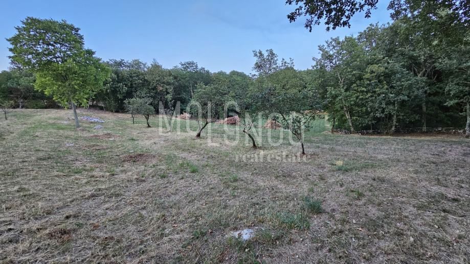 Terreno Jakovici, Tinjan, 3,62m2