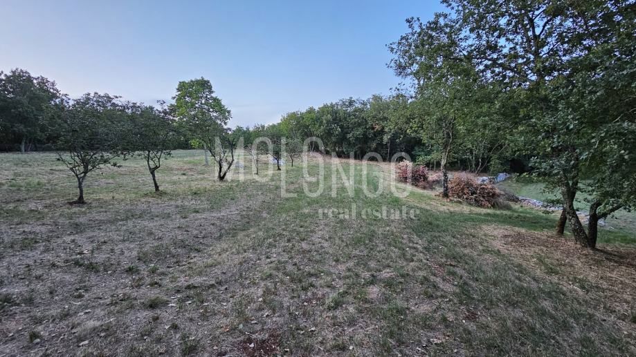 Terreno Jakovici, Tinjan, 3,62m2