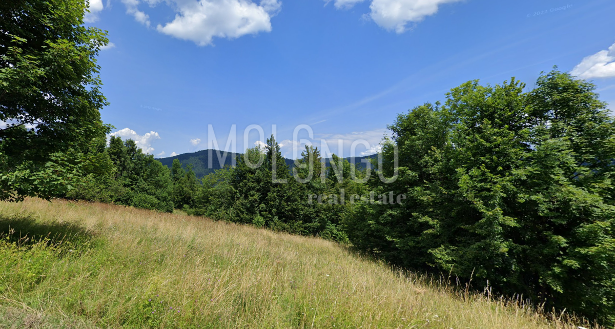 Terreno Brestova Draga, Mrkopalj, 4.100m2