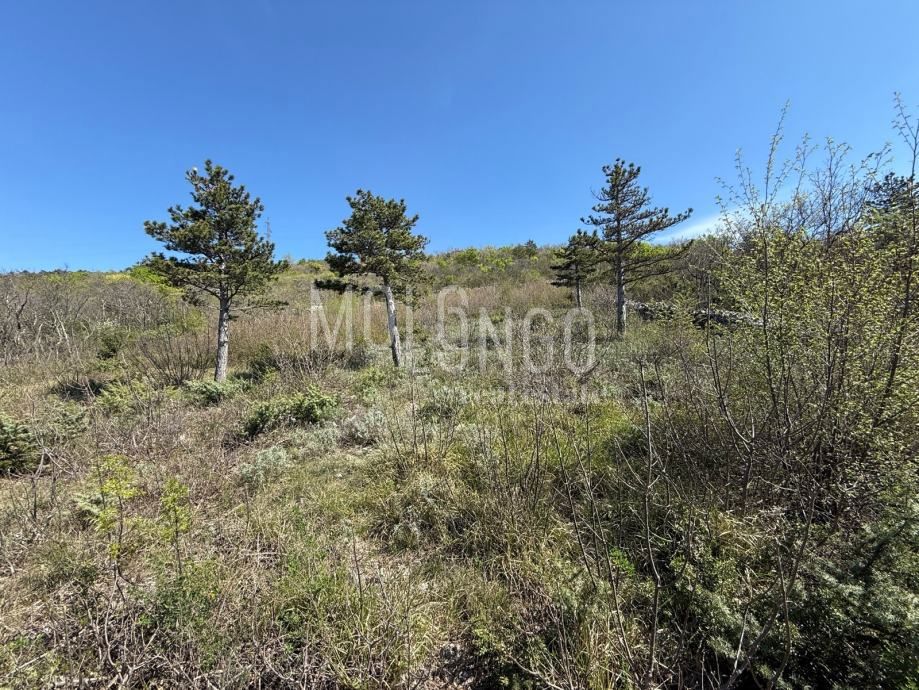 Terreno Crikvenica, 649m2