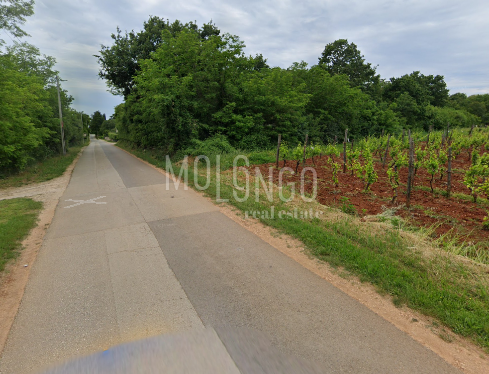 Terreno Buići, Poreč, 4.447m2