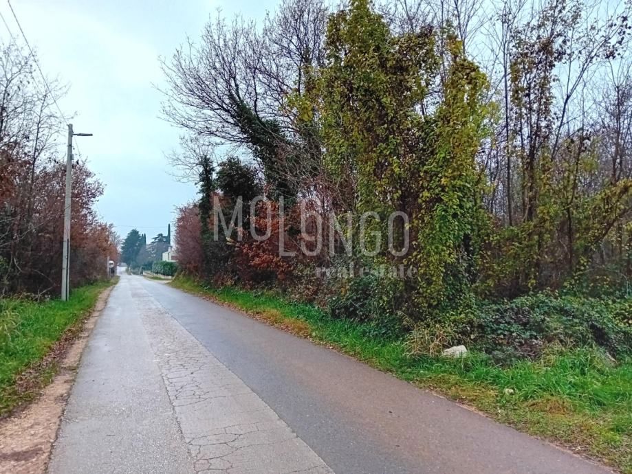 Terreno Buići, Poreč, 4.447m2