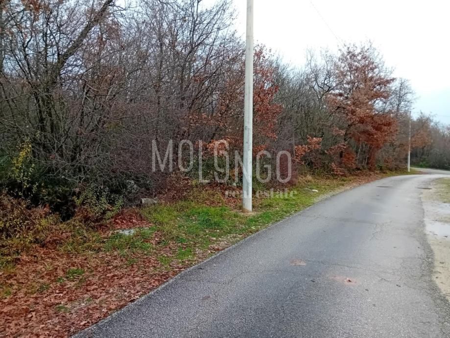 Terreno Buići, Poreč, 4.447m2