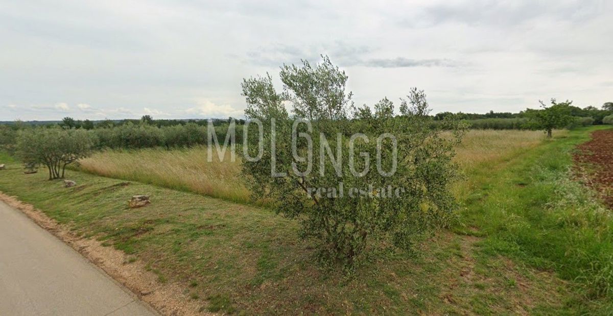 Terreno Tar, Tar-Vabriga, 3.496m2