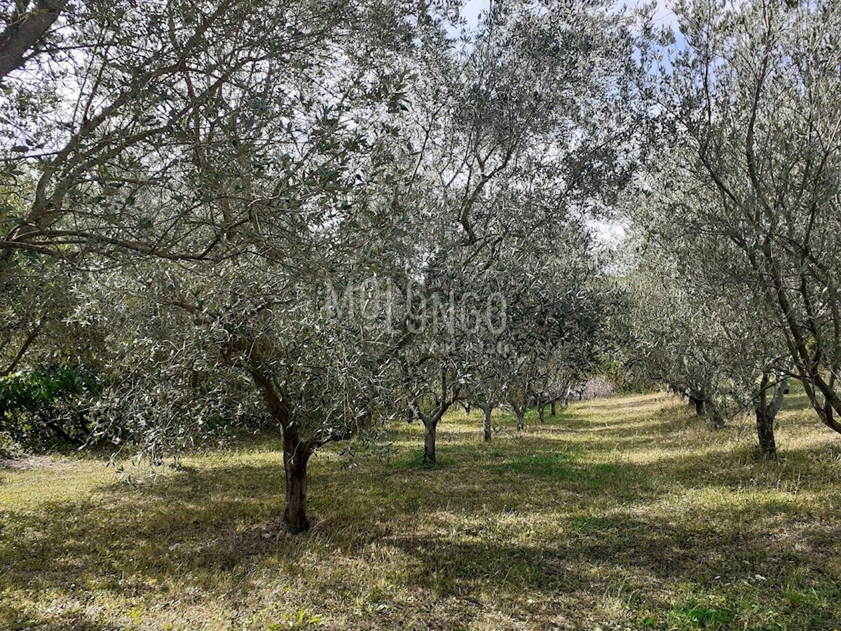 Terreno Poreč, 605m2