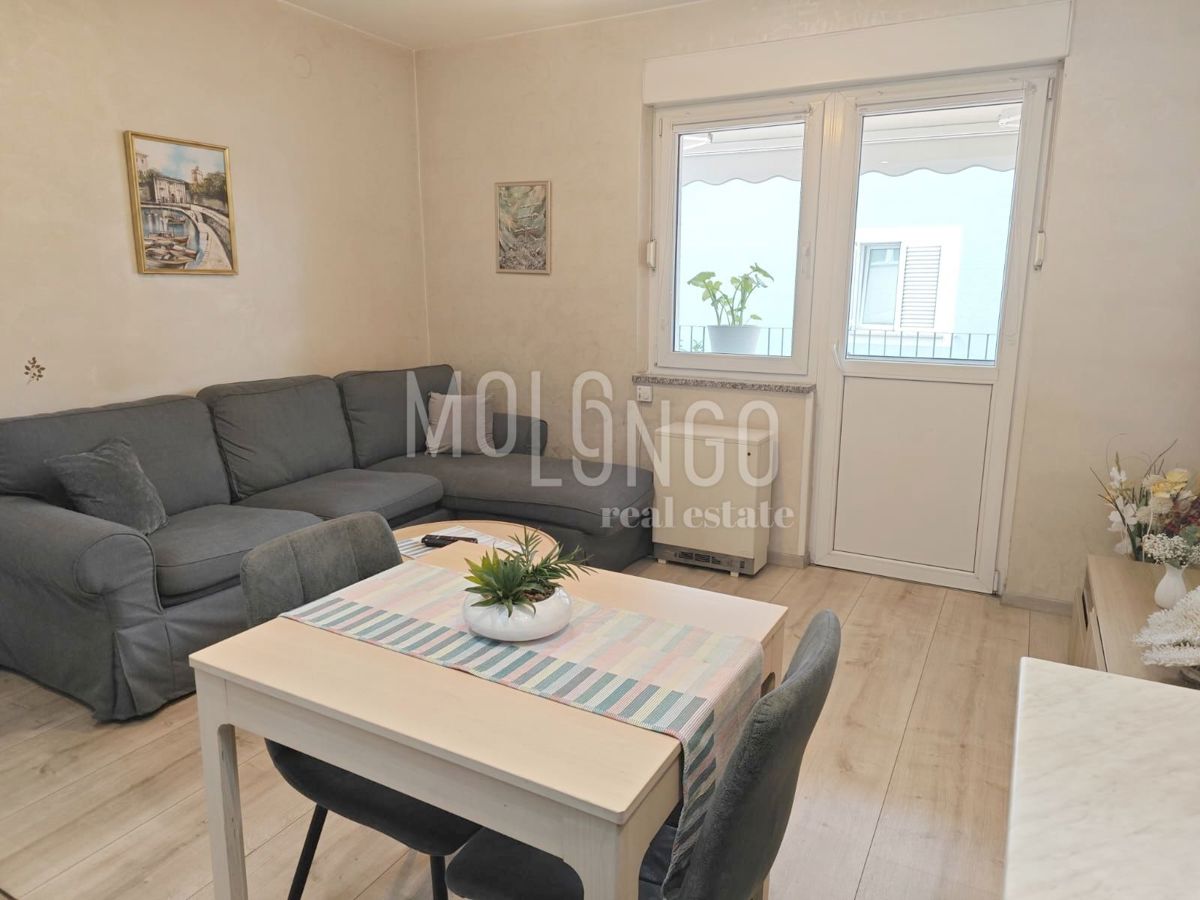 Appartamento/appartamento Krnjevo, Rijeka, 53,80m2