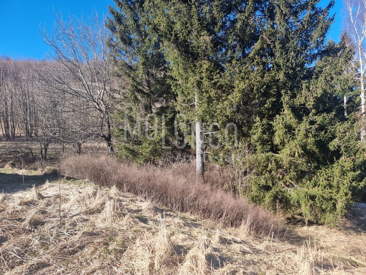 Terreno Mrzla Vodica, Lokve, 14.500m2
