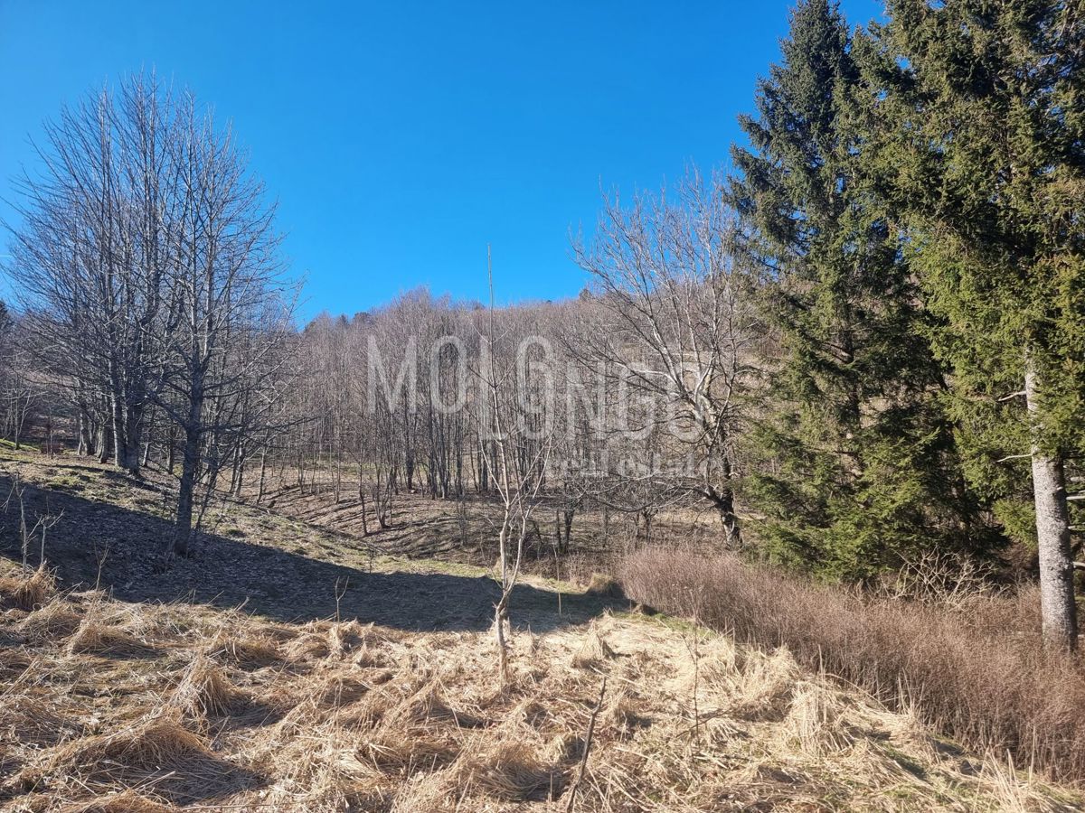 Terreno Mrzla Vodica, Lokve, 14.500m2