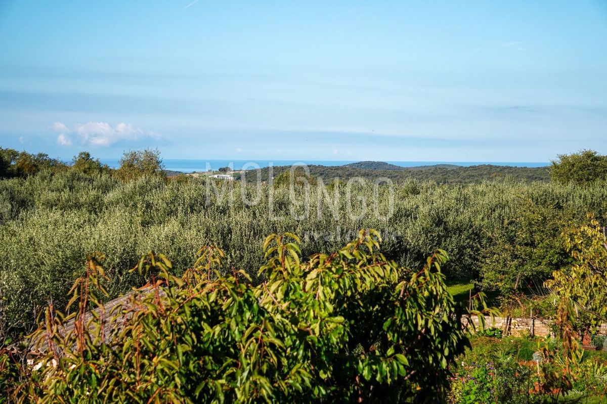 ISTRIA, ROVIGNO – OCCASIONE! Mite appartamento a 6 km dal mare