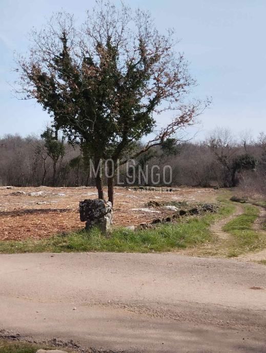 Terreno Matulini, Poreč, 2.765m2