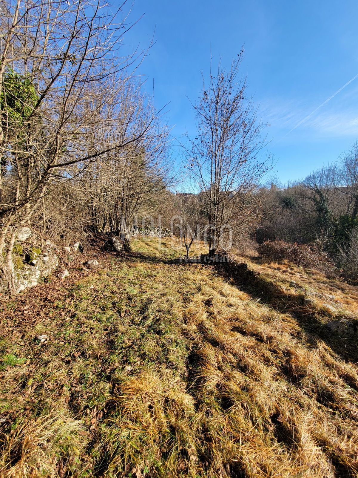 Terreno Veli Brgud, Matulji, 683m2