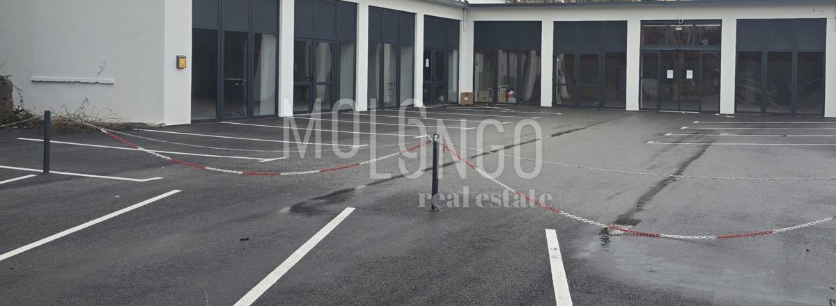 Commerciale Opatija - Centar, Opatija, 115m2