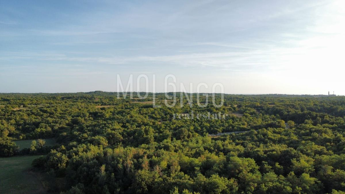 Terreno Vodnjan, 916m2