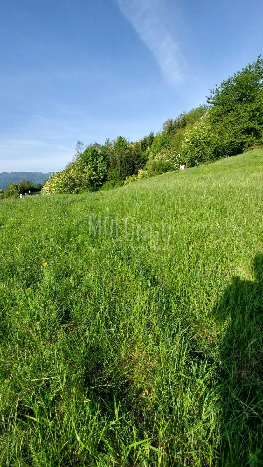 Terreno Stubica, Vrbovsko, 6.000m2