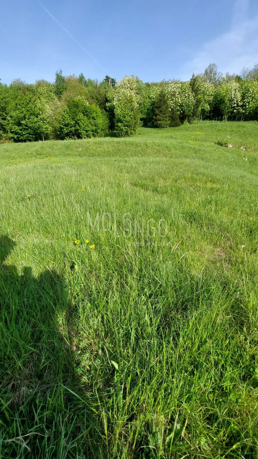 Terreno Stubica, Vrbovsko, 6.000m2