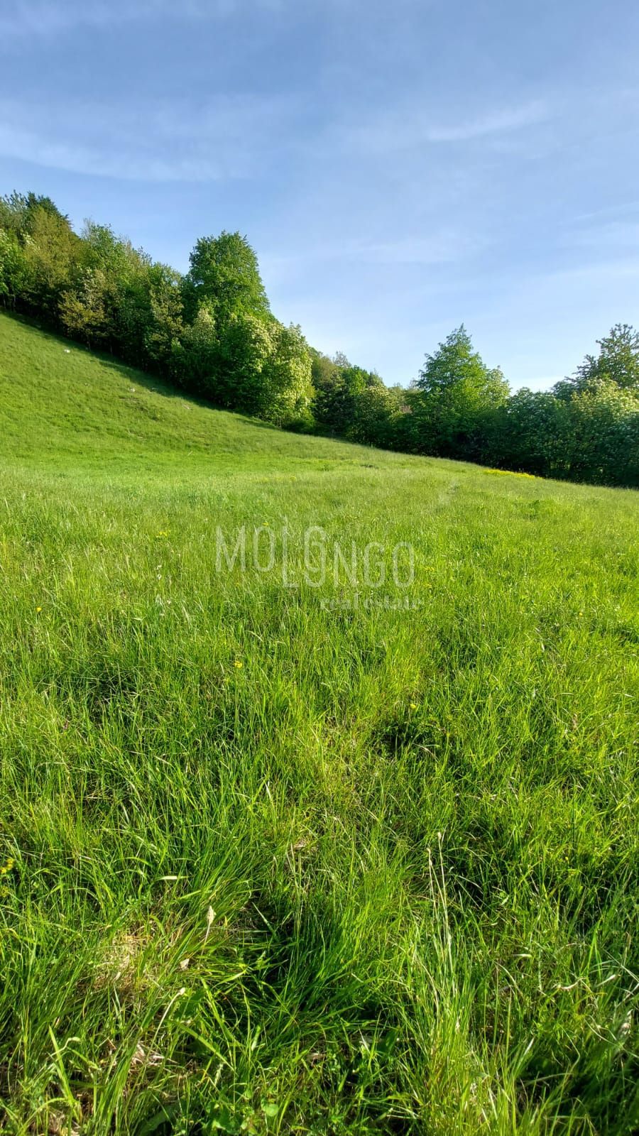 Terreno Stubica, Vrbovsko, 6.000m2