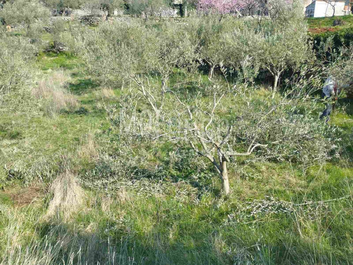 Terreno Brseč, Mošćenička Draga, 1.979m2