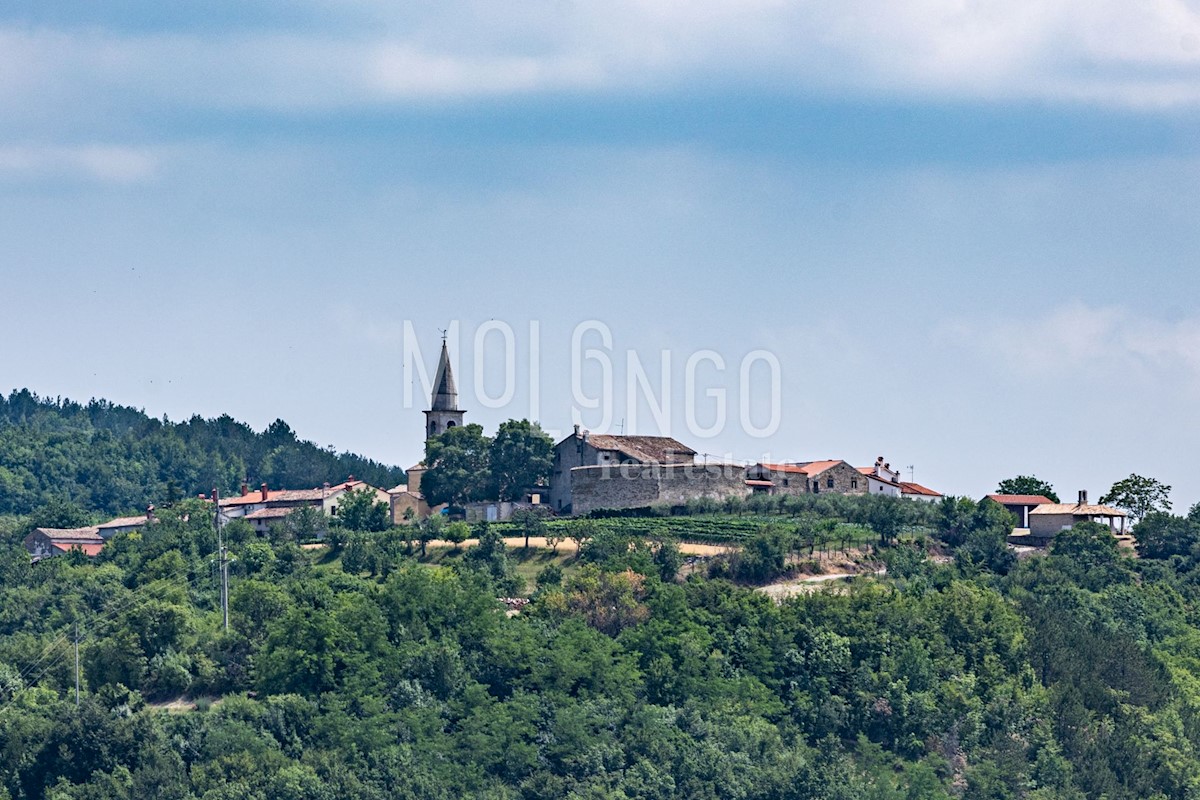 Casa Korelići, Cerovlje, 370m2