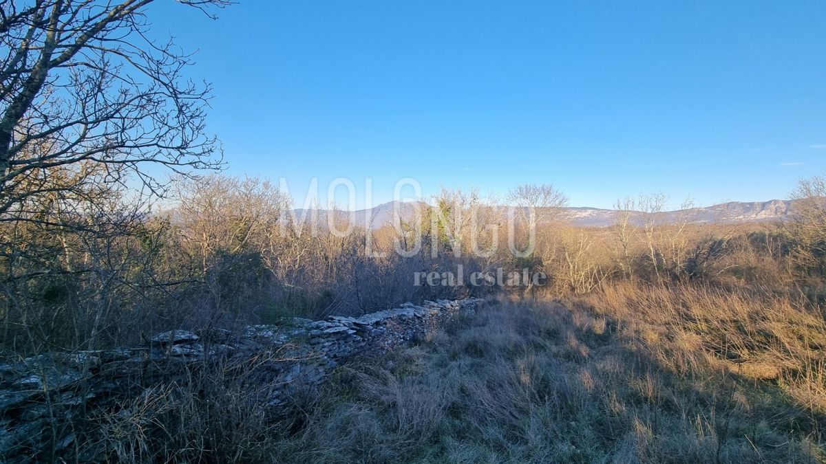 Terreno Šumber, Sveta Nedelja, 15.000m2