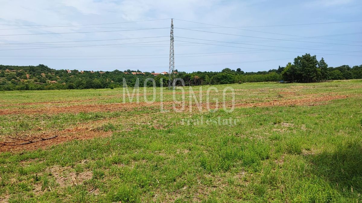 Terreno Kršete, Buje, 49.000m2