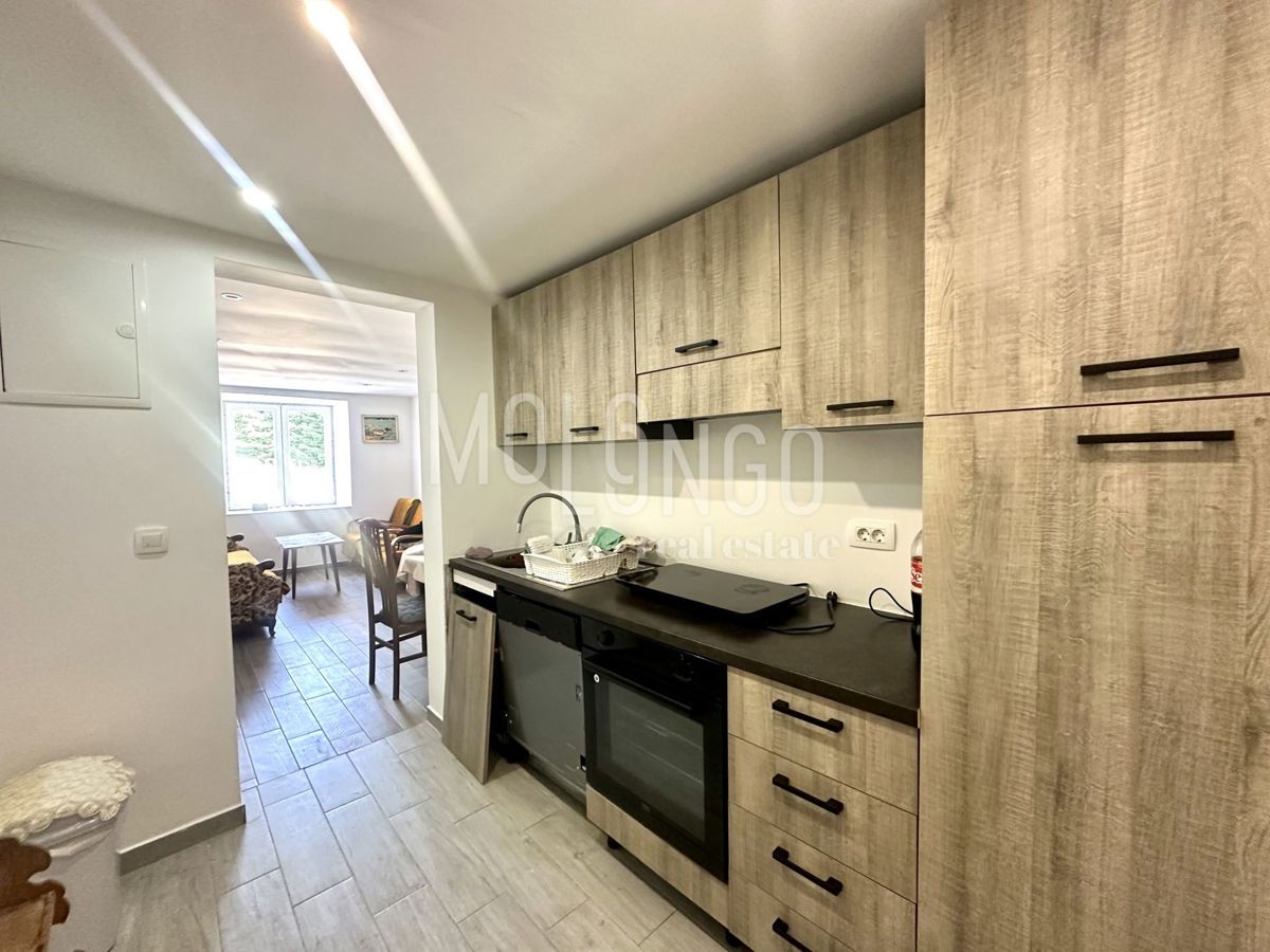 Appartamento/appartamento Fužine, 65m2