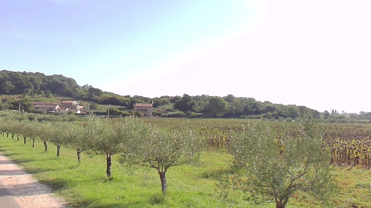 ISTRIA, zona di Parenzo – Terreno edificabile di pregio in posizione tranquilla