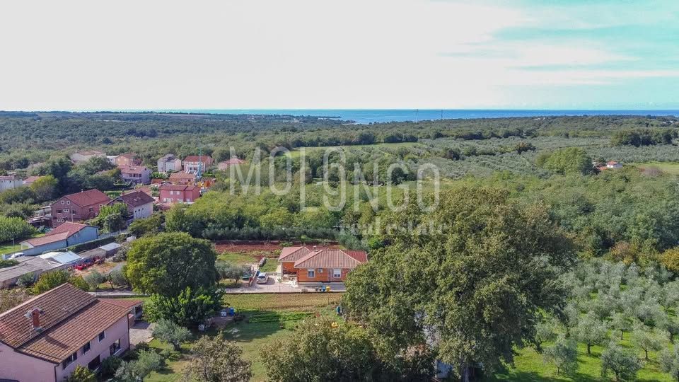 Terreno Fiorini, Brtonigla, 536m2