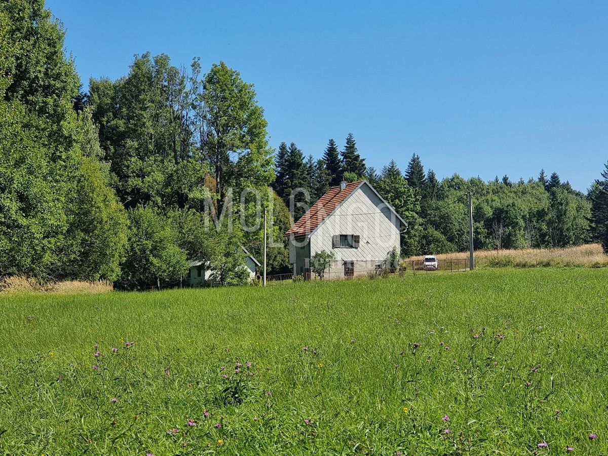 Casa Kupjak, Ravna Gora, 180m2