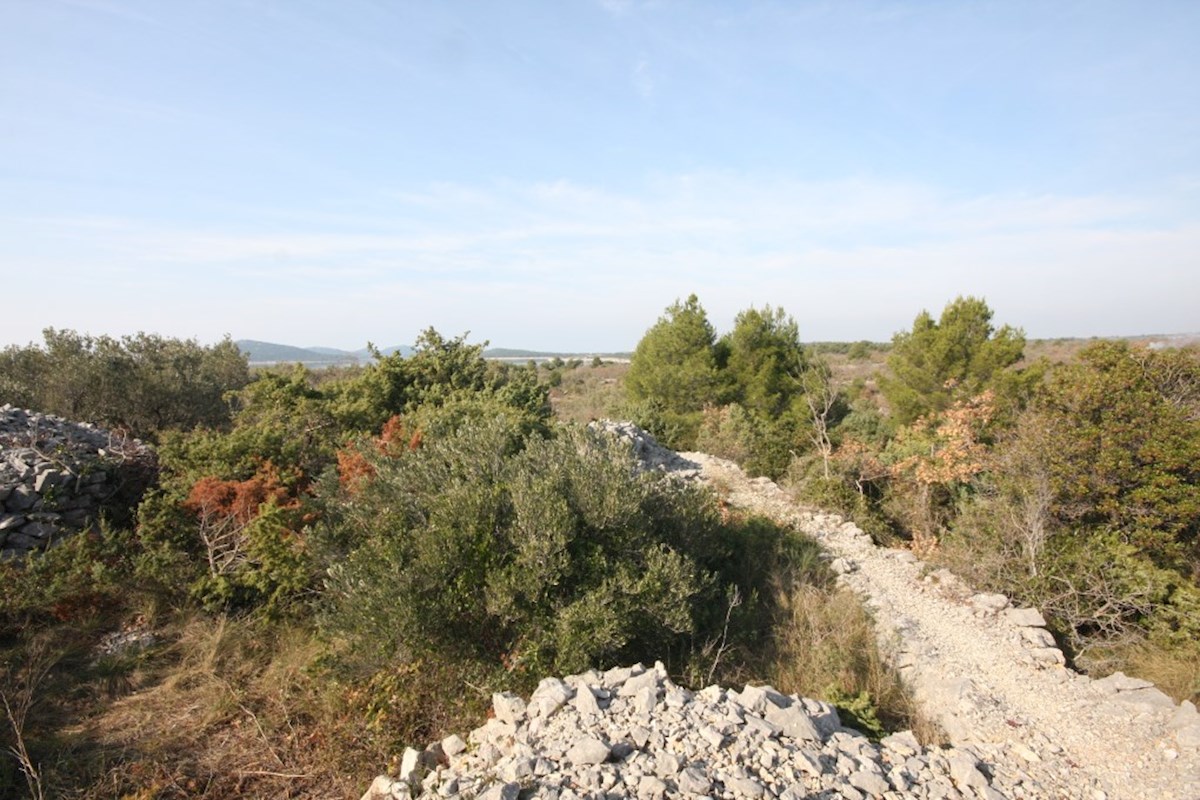 Betina, terreno agricolo vicino al mare