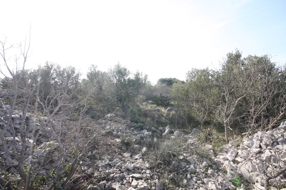 Betina, terreno agricolo vicino al mare