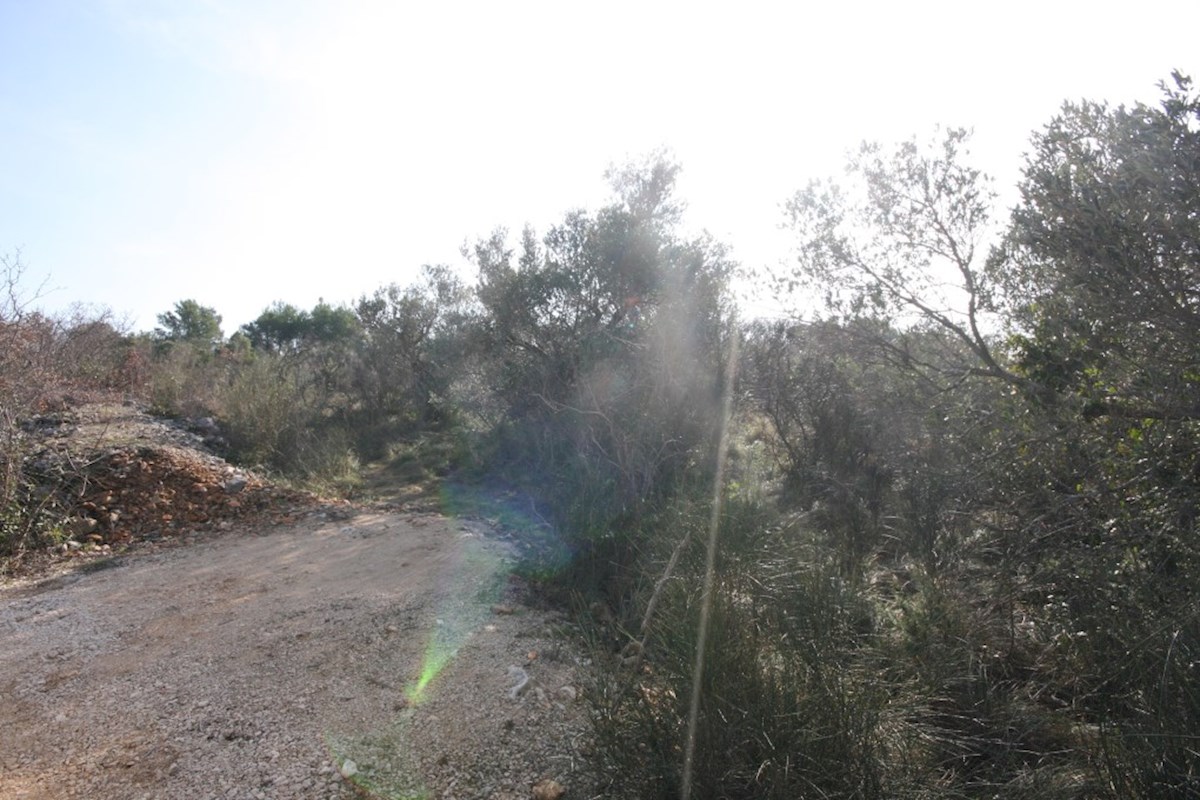 Betina, terreno agricolo vicino al mare