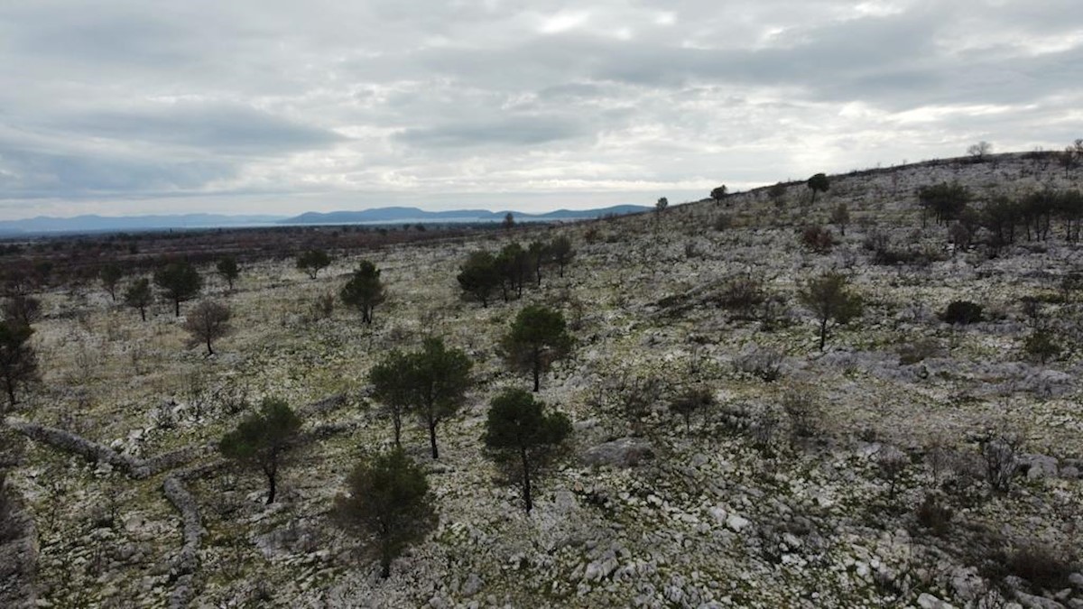 Vodice, terreno agricolo con possibilità di costruzione