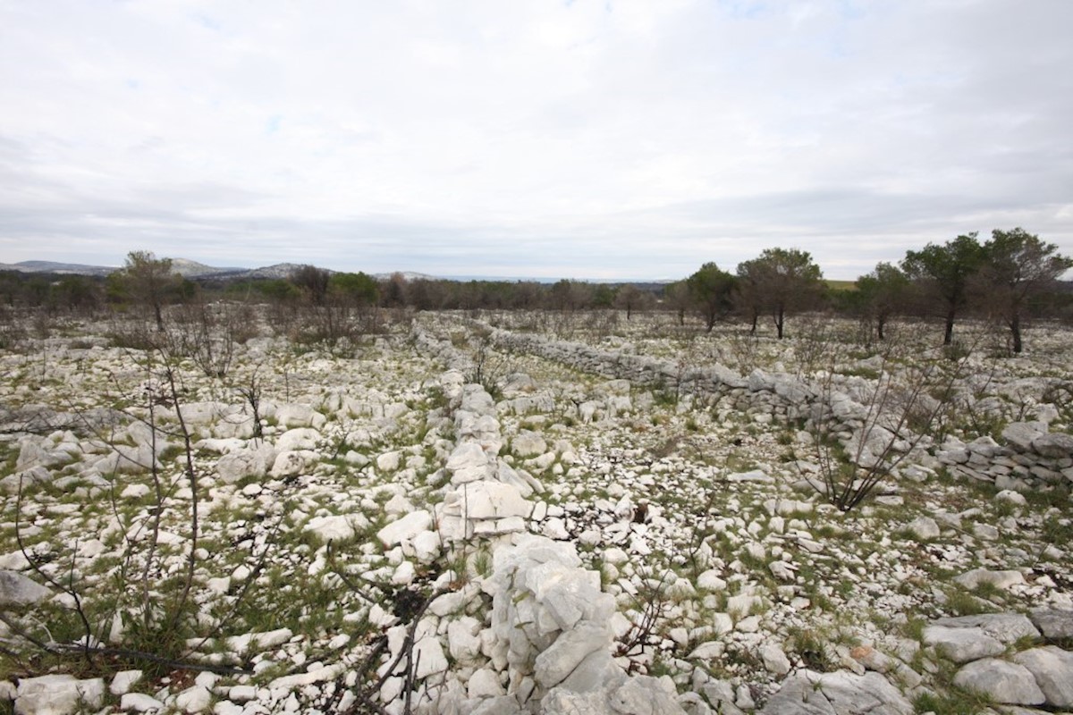 Vodice, terreno agricolo con possibilità di costruzione