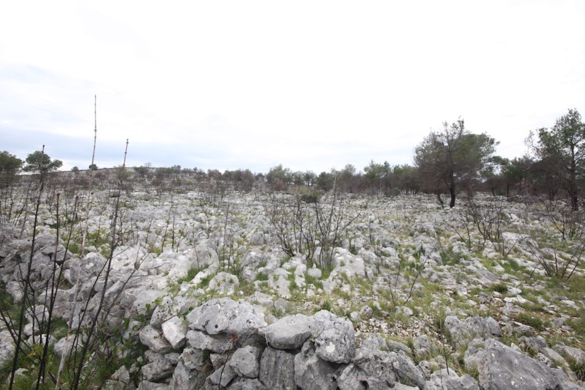 Vodice, terreno agricolo con possibilità di costruzione