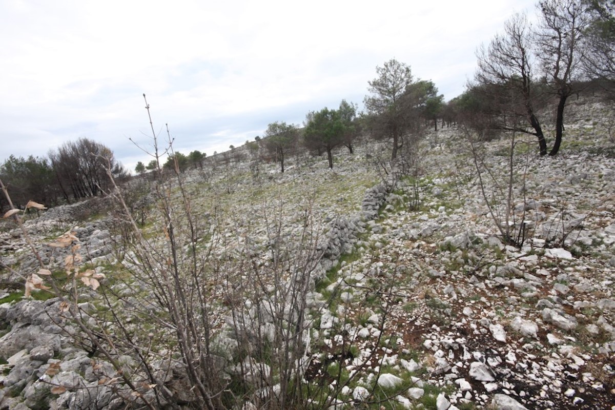 Vodice, terreno agricolo con possibilità di costruzione