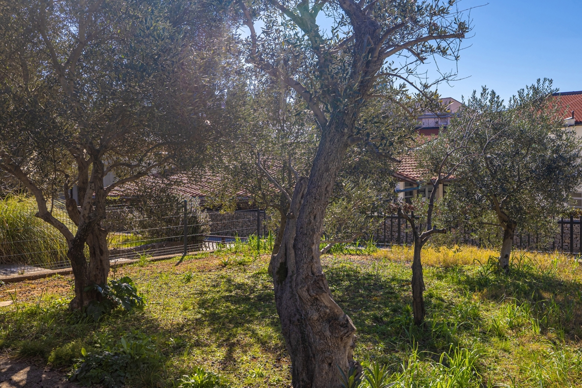 CITTÀ DI KRK - Casa indipendente in seconda fila al mare