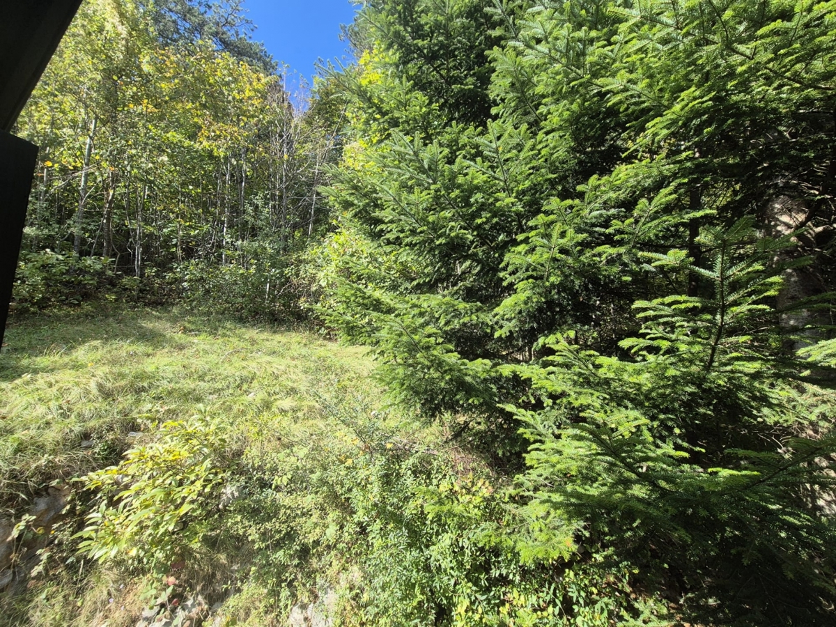 GORSKI KOTAR, LIČ - Casa con vista sulla natura