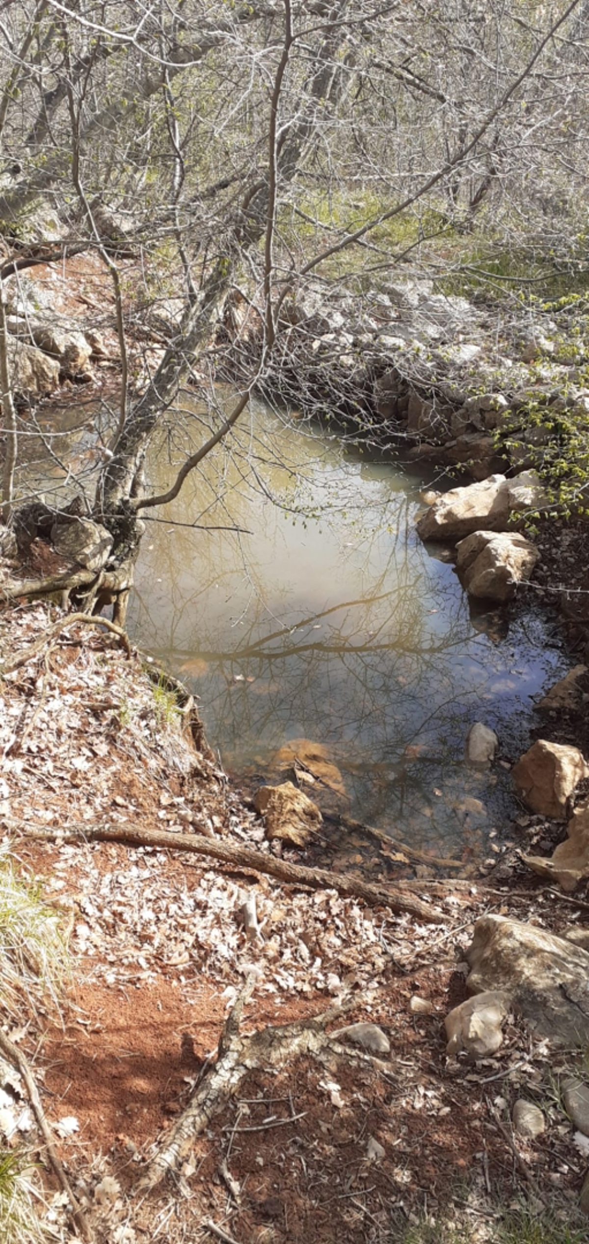 ISOLA DI KRK - Ampio terreno con bosco