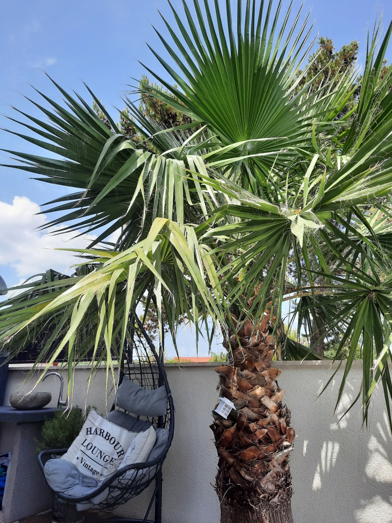 ISOLA DI KRK, ŠILO - Appartamento con giardino e piscina