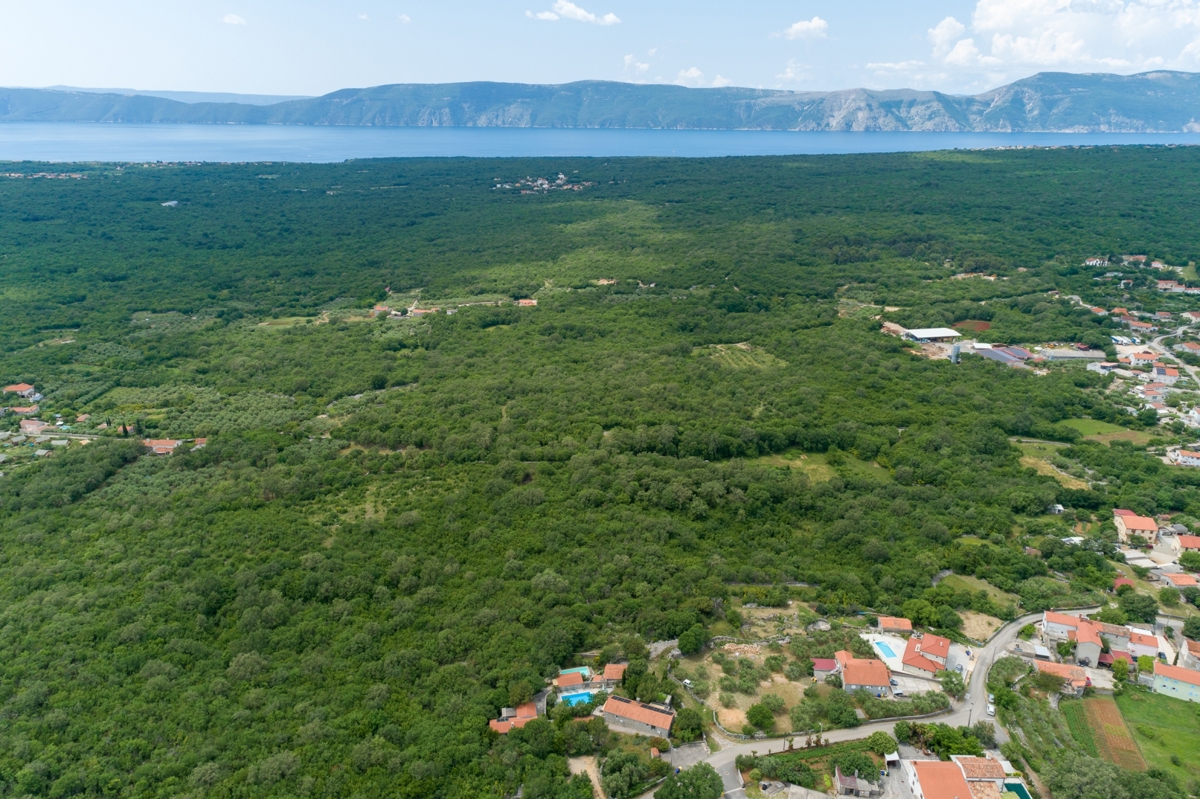 L'ISOLA DI KRK - Una bellissima proprietà con due case in pietra