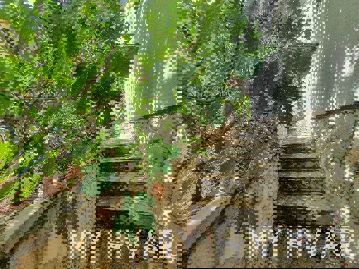 Casa accogliente a Vitarnja