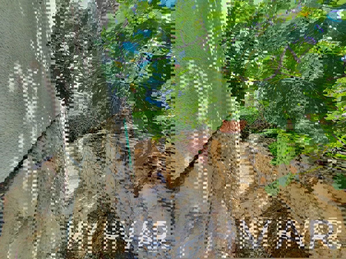 Casa accogliente a Vitarnja